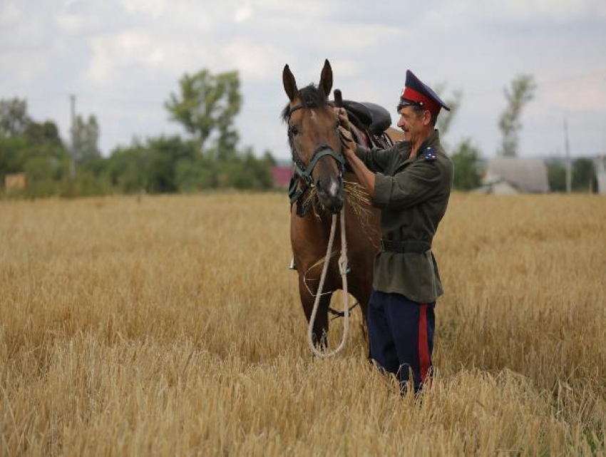 Земли казаков в Ростовской области могут вернуть муниципалитетам