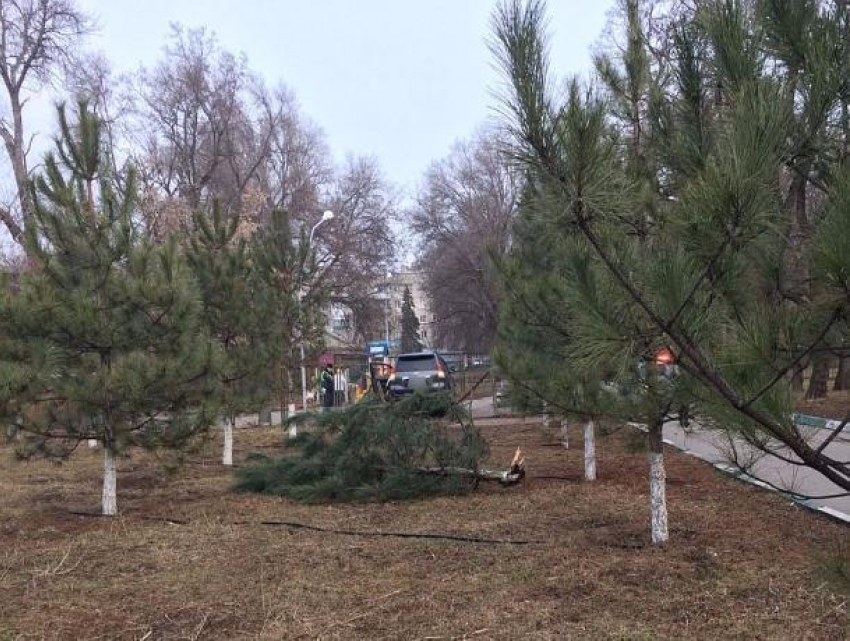 Пьяная блондинка на дорогой иномарке протаранила детскую площадку в Ростовской области