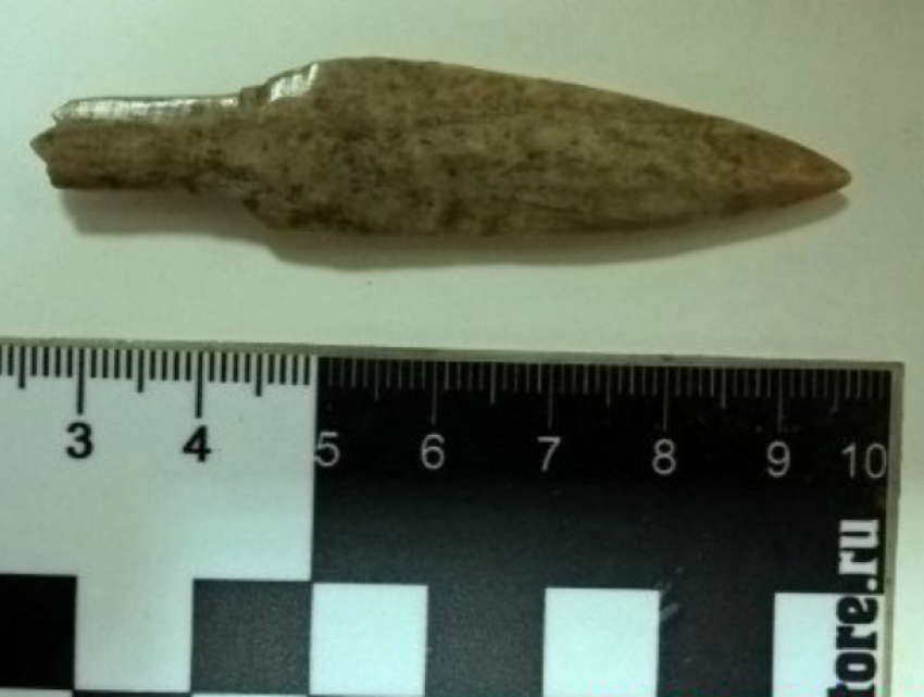 Донские археологи обнаружили необычный наконечник в поселении меотов