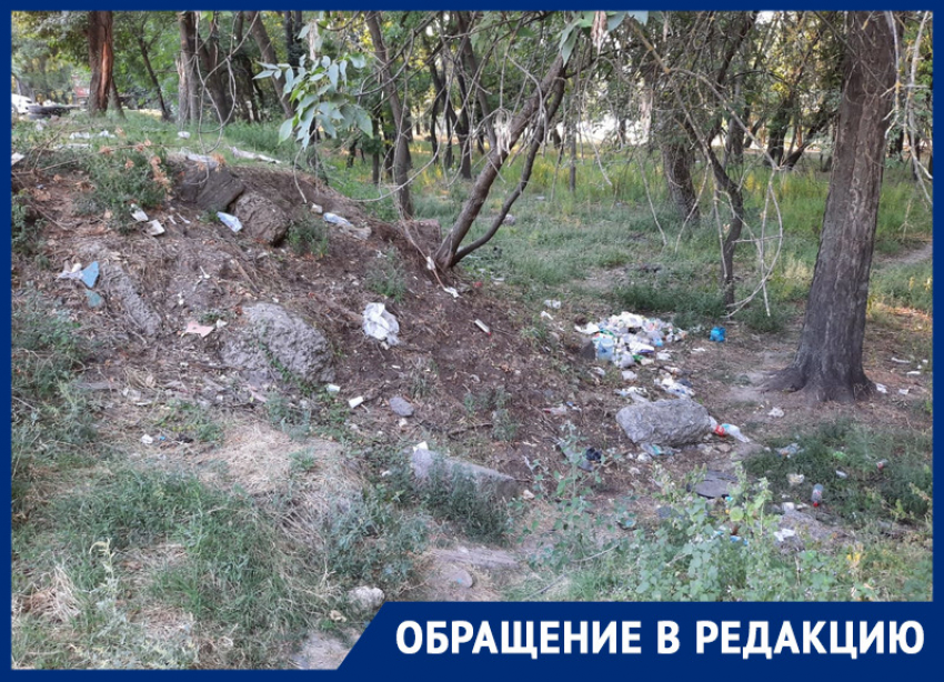 «Стыдно перед гостями города»: ростовчанина возмутили горы мусора на левом берегу Дона