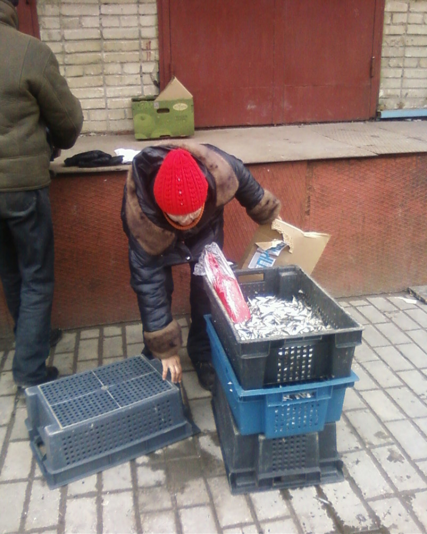 В Таганроге оштрафовали продавцов, торгующих рыбой с земли 