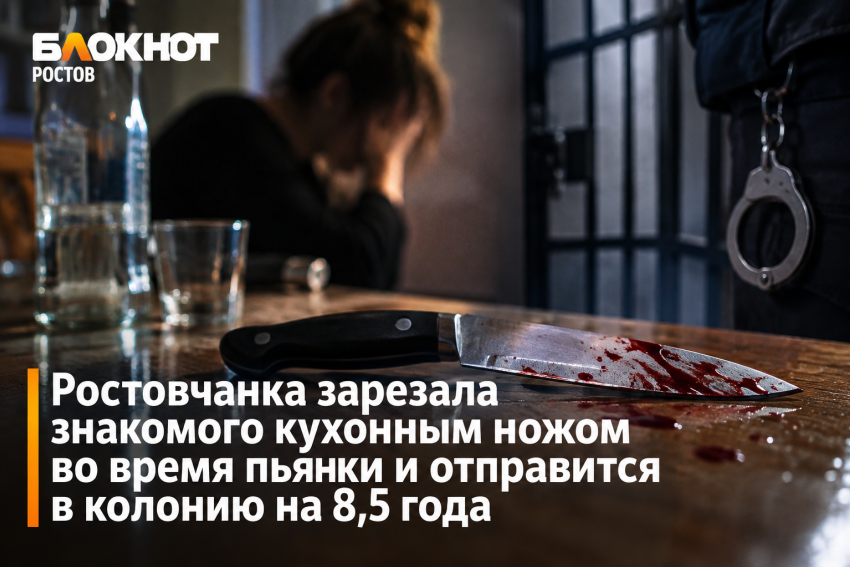 Ростовчанка ударила ножом гостя во время застолья и получила 8,5 года колонии