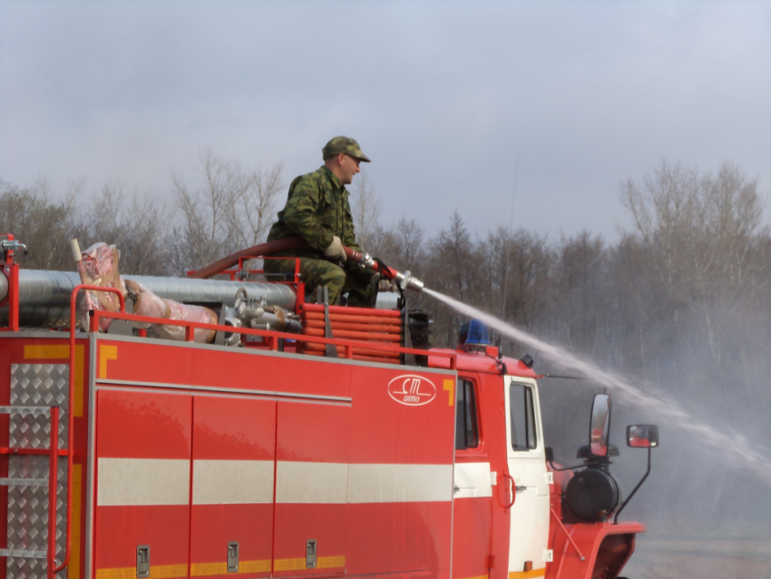 Крупный лесной пожар в Ростовской области ликвидирован