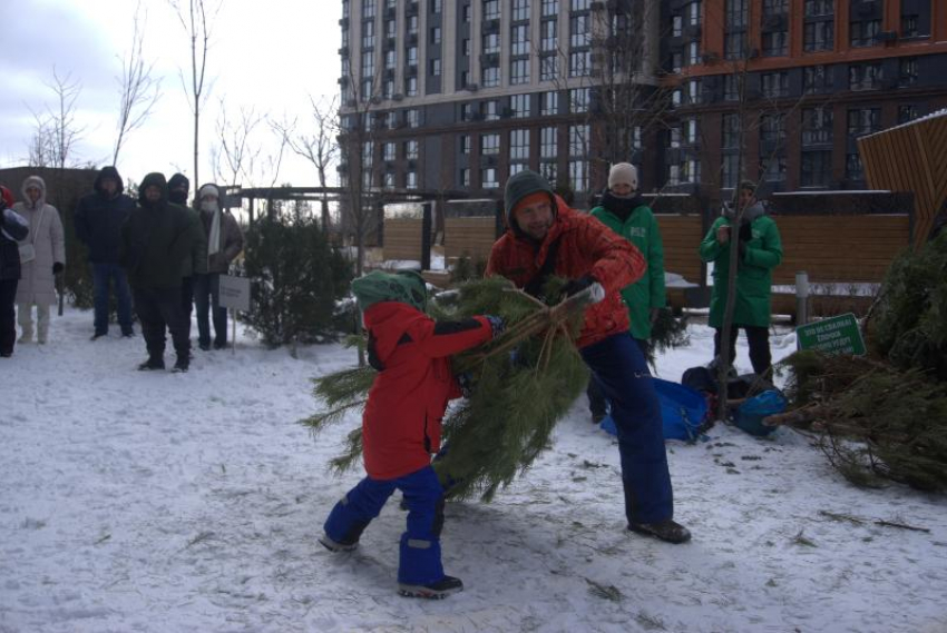 На чемпионате по ёлкометанию в Ростове побили рекорд