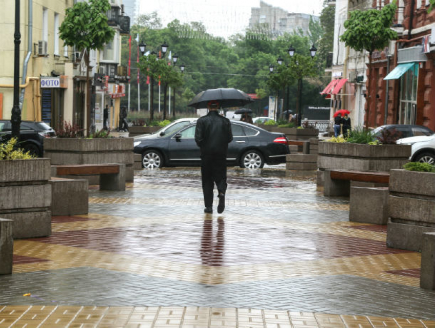 Тропическим городом сделает Ростов хитрая природа на этой неделе