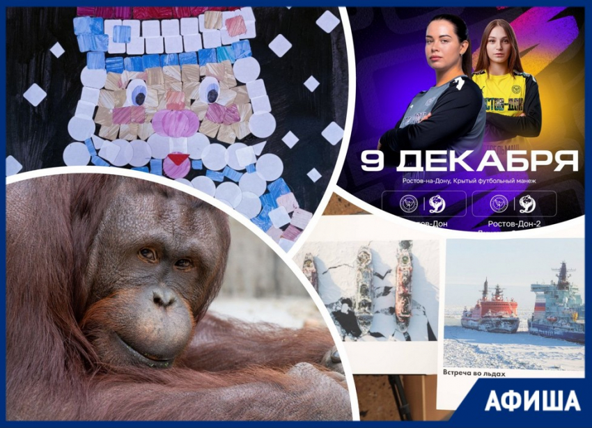 Поддерживаем «Ростов-Дон», любуемся Арктикой и создаем деда Мороза: куда пойти в Ростове на этой неделе