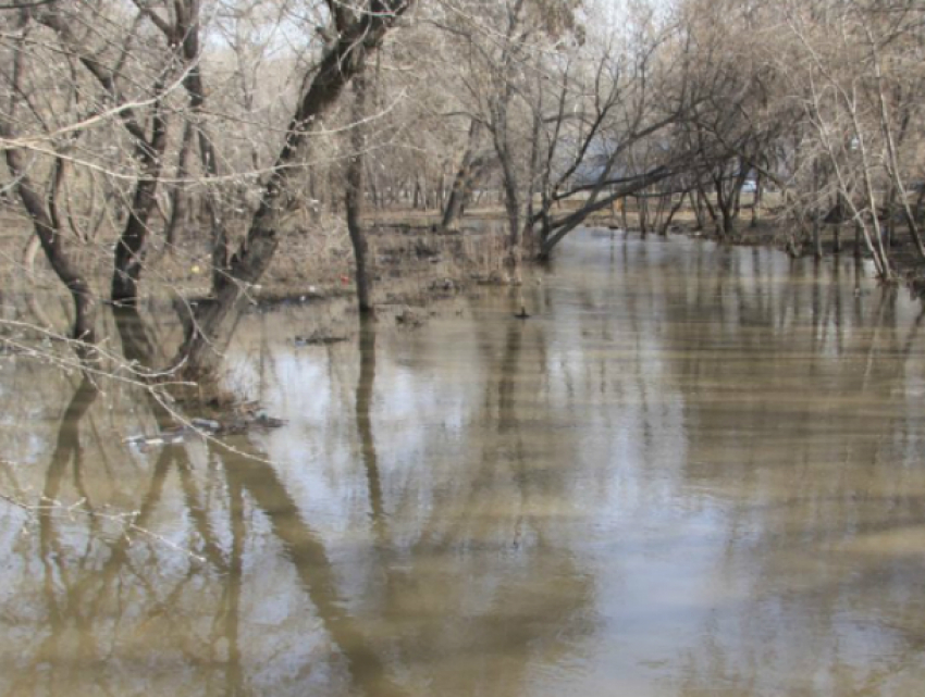 Угроза весеннего разлива рек пугает жителей Ростовской области