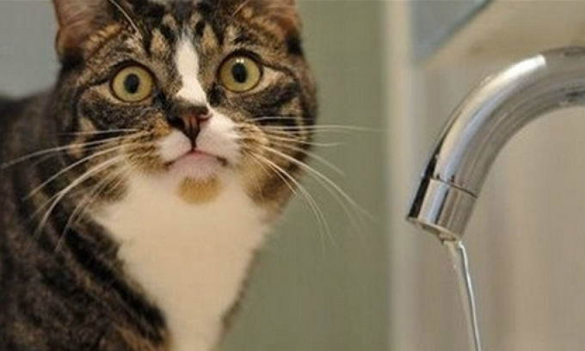 Пять хуторов остались без воды в Ростовской области 