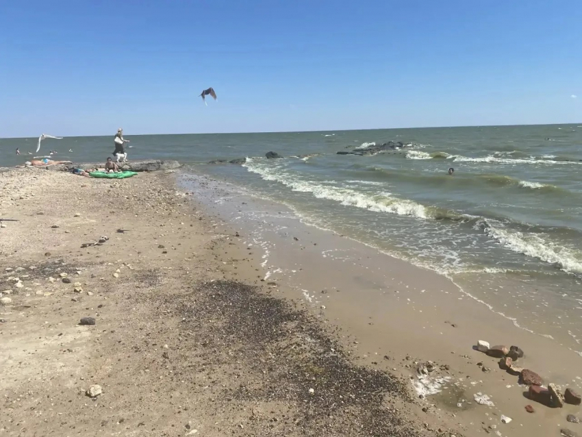 Глава Таганрога рассказала о результатах проверки воды в Таганрогском заливе после атак ВСУ