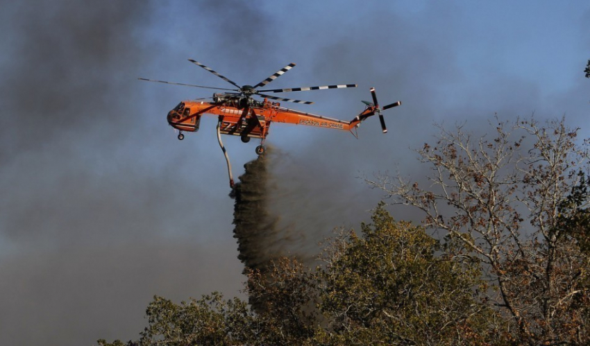Больше суток тушат лесной пожар в Тарасовском районе 
