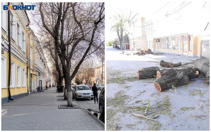 Илья Варламов раскритиковал ремонт центральной улицы в Таганроге