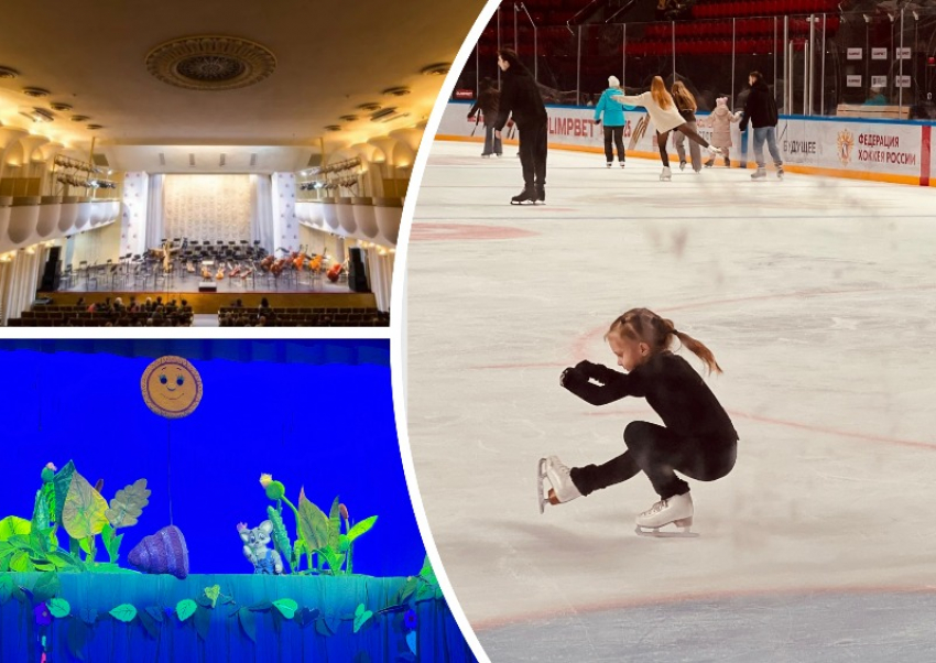 Вспомнить детство, покататься на коньках и научиться мяукать смогут ростовчане на выходных