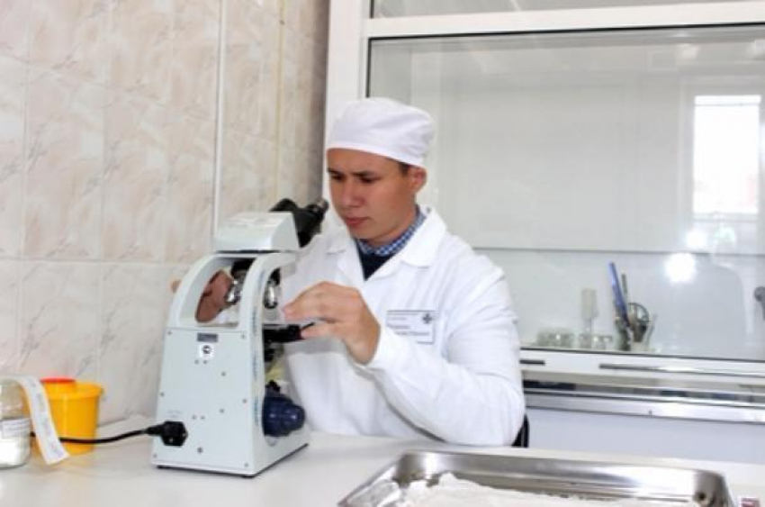 Сеть аккредитованных ветеринарных лабораторий будет расширяться в Ростовской области