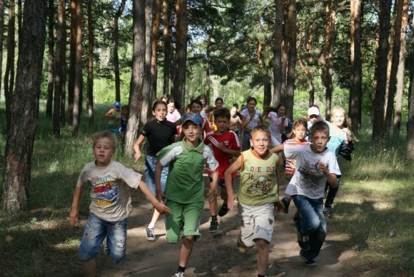 905 лагерей и санаториев уже готовы принять детей на летнюю оздоровительную кампанию 