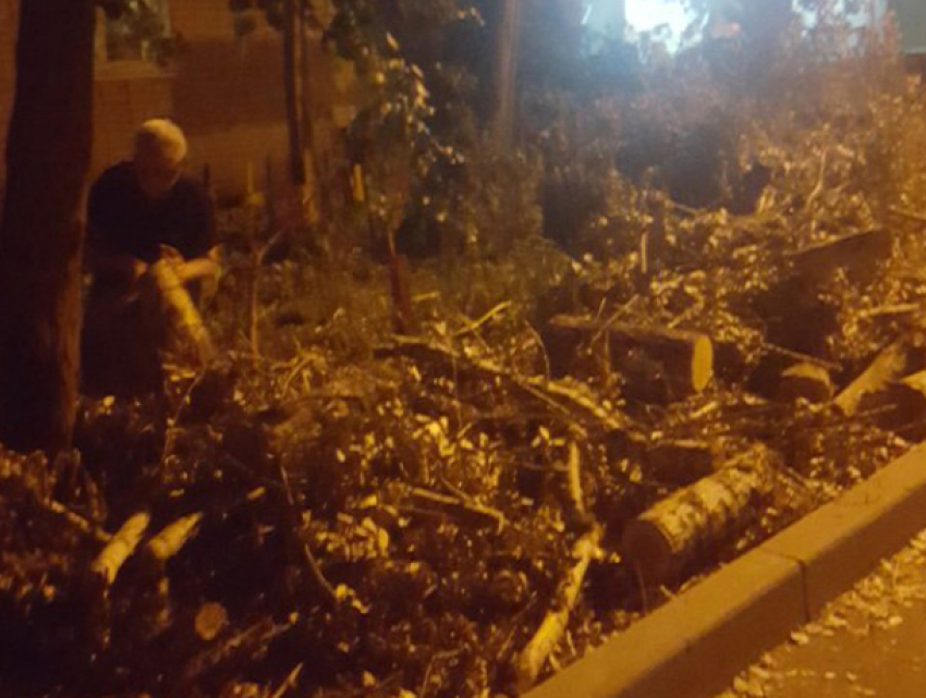 Небезразличная пенсионерка неделю убирает деревья за коммунальщиками под Ростовом