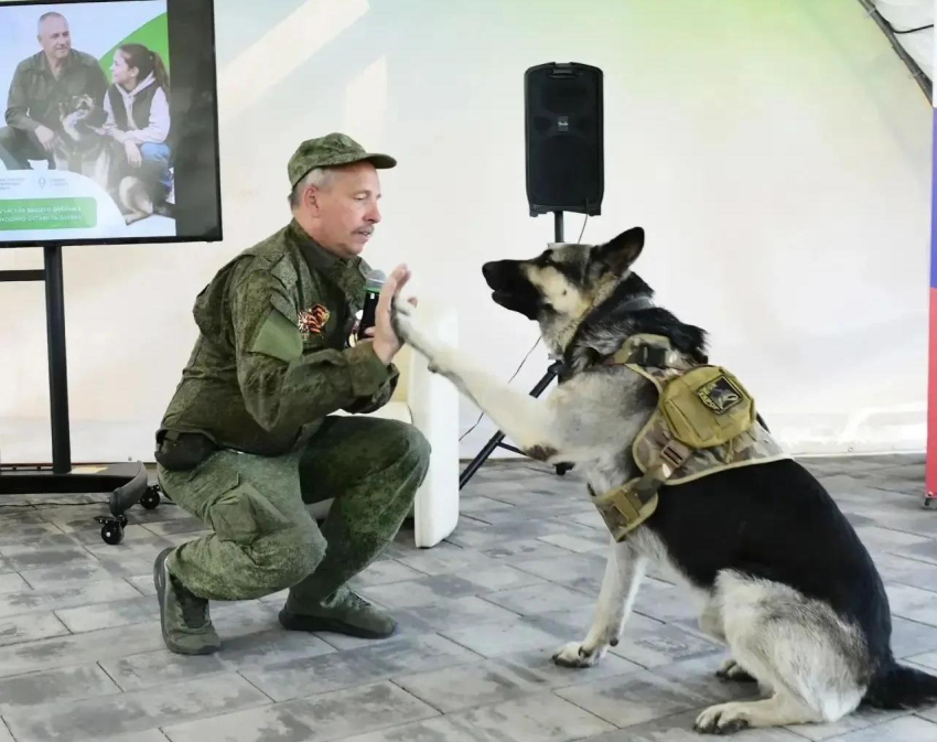 В Ростове-на-Дону дети познакомились с профессией кинолога
