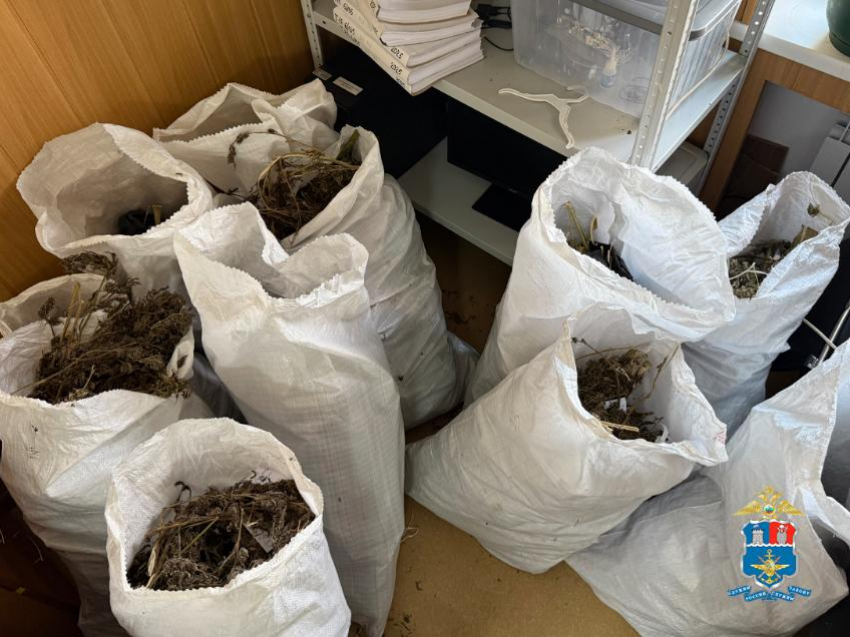 В Ростовской области задержали мужчину с более чем 70 килограммами каннабиса