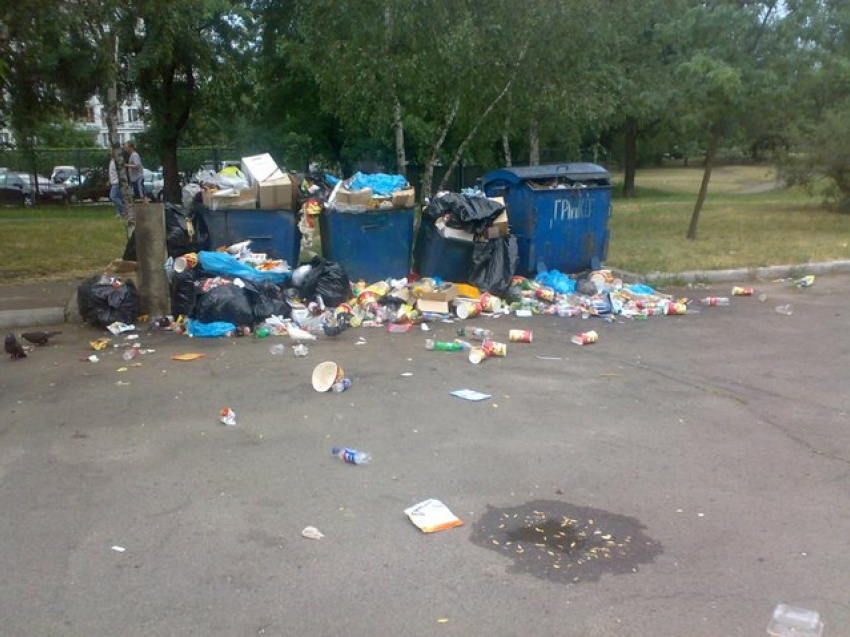 Жительница Ростовской области перепутала кролика с мертвым младенцем 