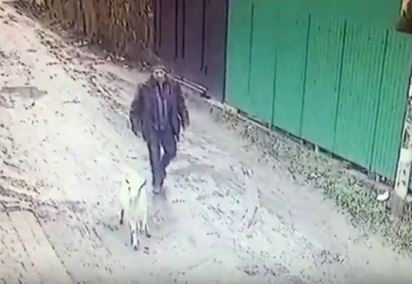 Похититель козы Маши из многодетной семьи в Ростове попал на видео