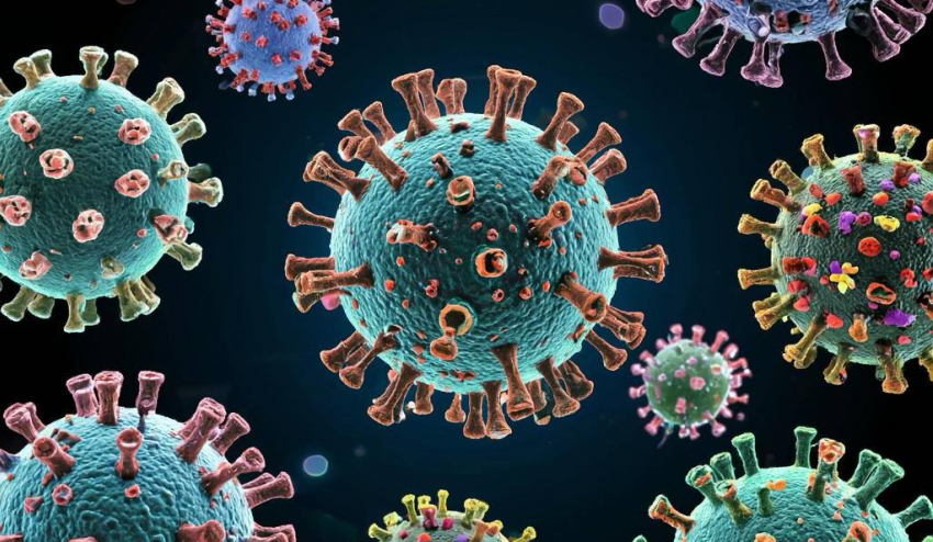 На Дону увеличился риск подхватить энтеровирусную инфекцию