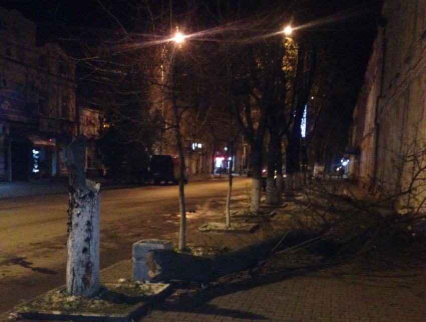 Водитель легковушки «насмерть» сбил дерево, мирно растущее у перекрестка под Ростовом