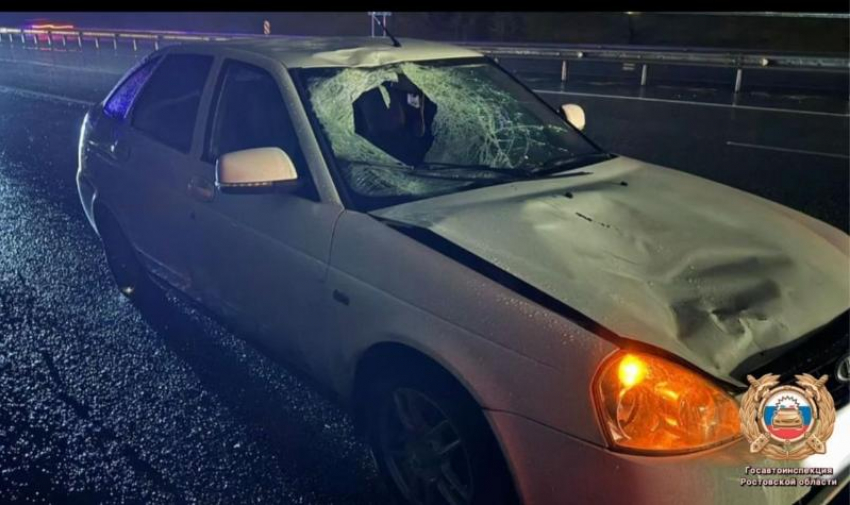 Молодой водитель насмерть сбил пожилого пешехода в Ростовской области