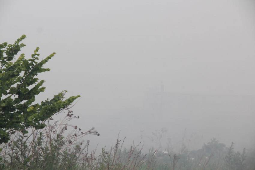 Ростов заволокло дымом из-за пожара на Зеленом острове