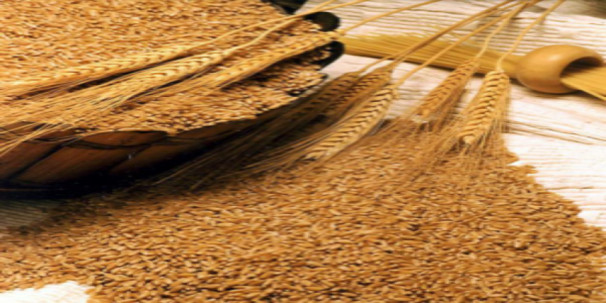 Более 5,8 млн тонн озимой пшеницы собрали донские аграрии 