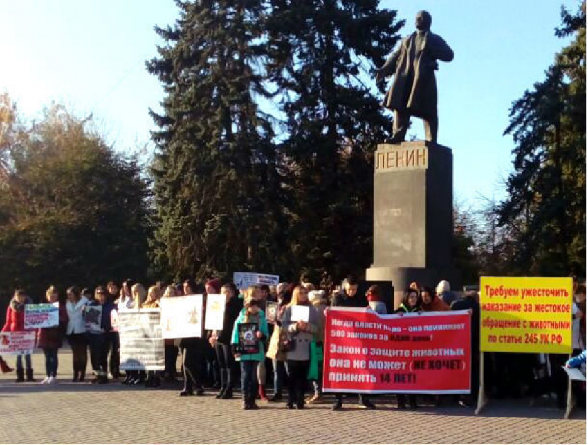 Ростовчане устроили эмоциональную акцию против власти и «хабаровских живодерок»