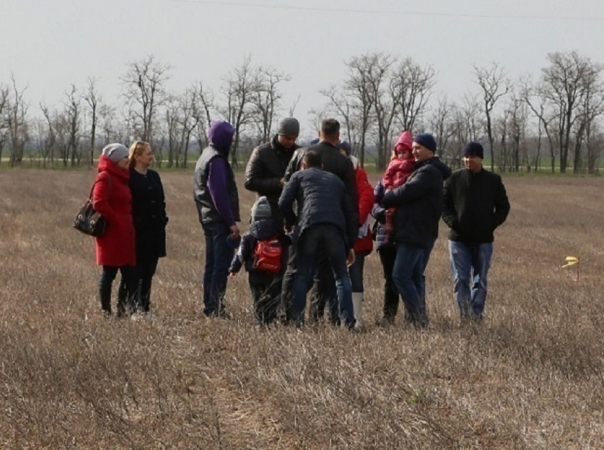 Бесплатную землю получат тысячи многодетных семей Ростовской области