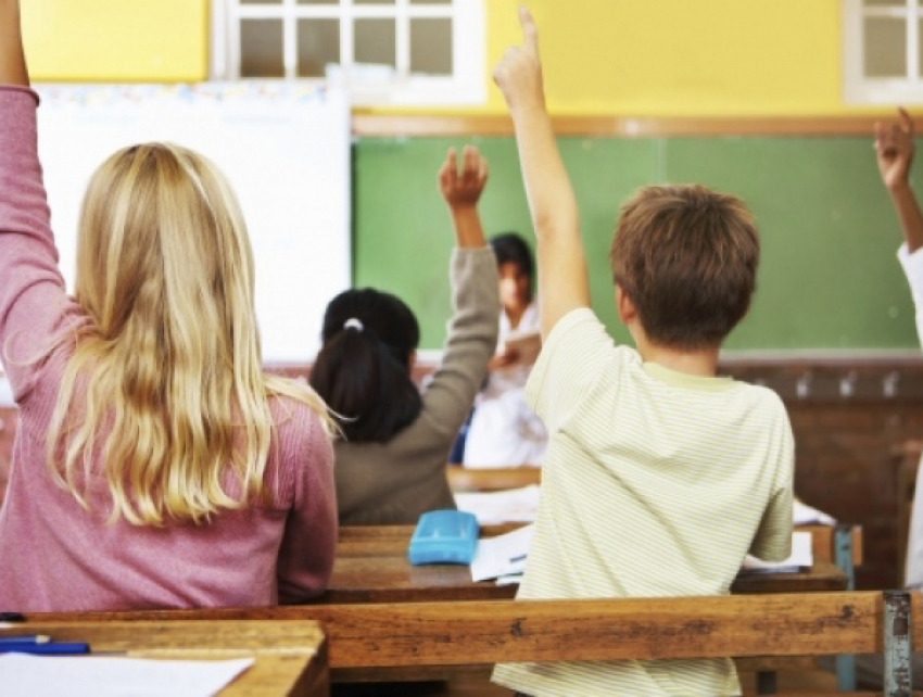 Ростовчанка просит вернуть нулевые классы в школы