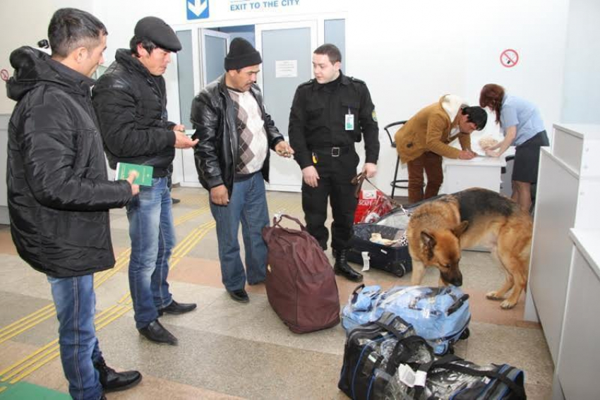 С начала года 320 килограммов насвая ввезли в Ростов