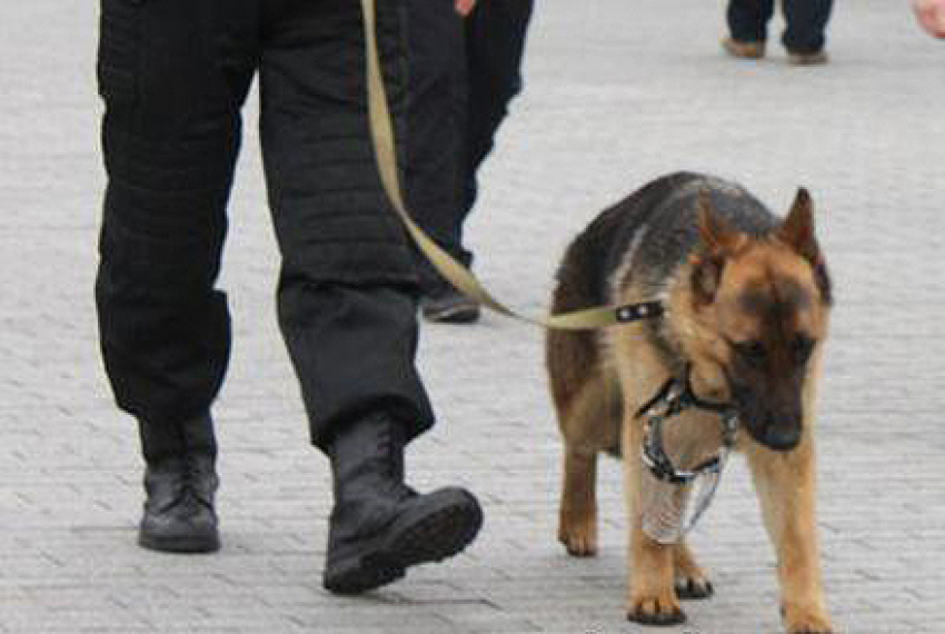 В Ростове «заминировали» офис Сбербанка на Буденновском