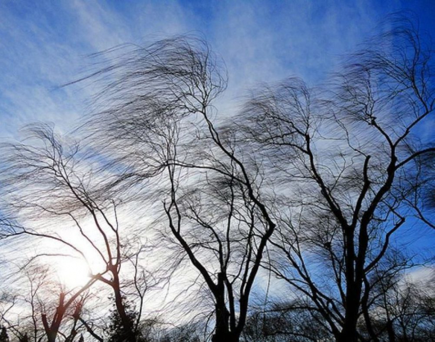 Шквалистый ветер ожидается на Дону