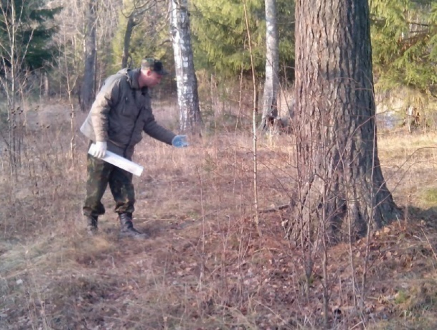 Ветеринары и егери разложили необычные котлеты в лесах Ростовской области