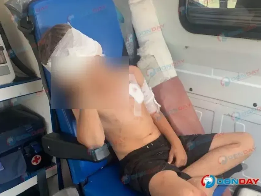 Покусавшего мальчика волка усыпили в Ростовской области