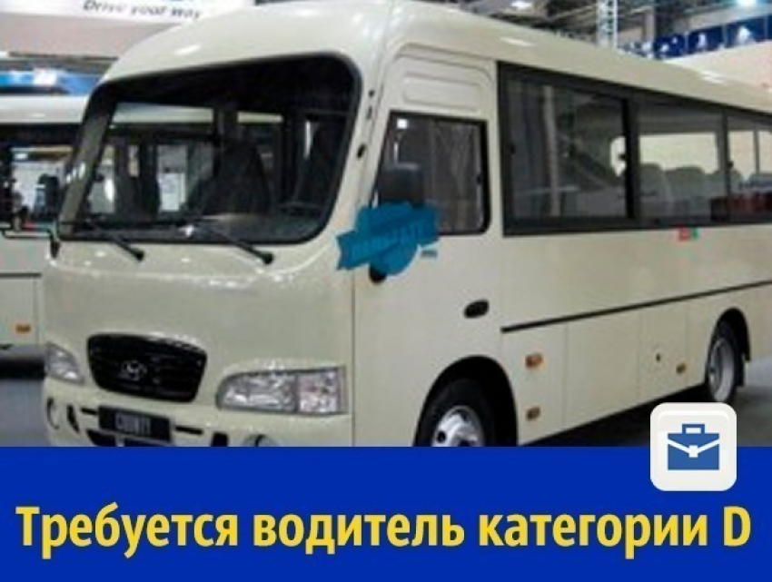 Водителя на маршрутку ищут в Ростове