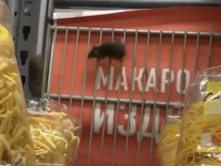 Веселая возня беззаботных мышей на полках с макаронами ростовского супермаркета взбесила покупателей