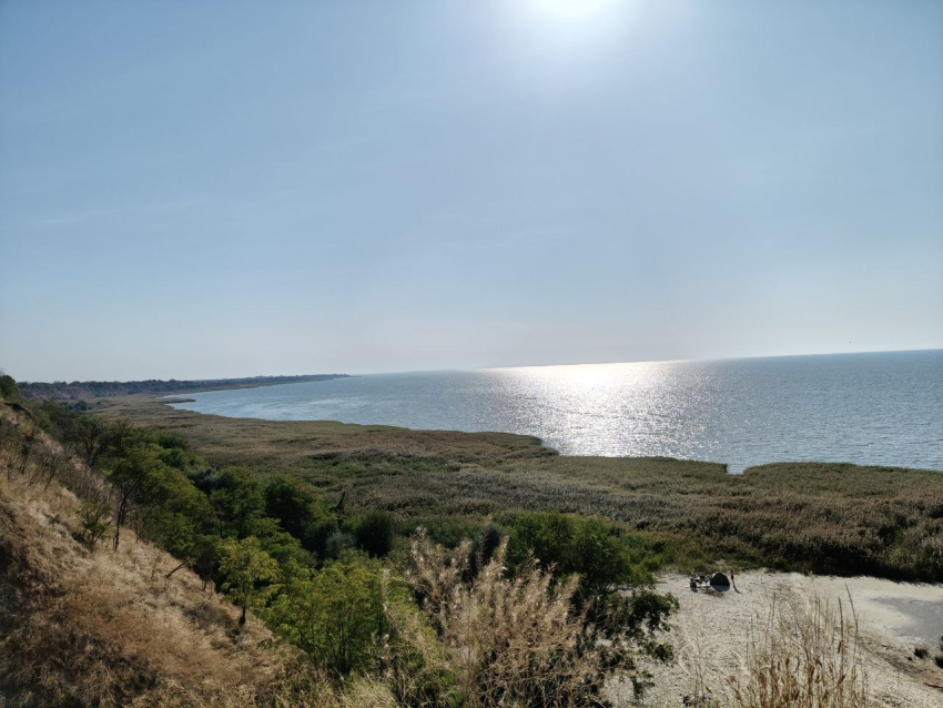 Как спасти Азовское море: ученые ищут решения в Ростове-на-Дону