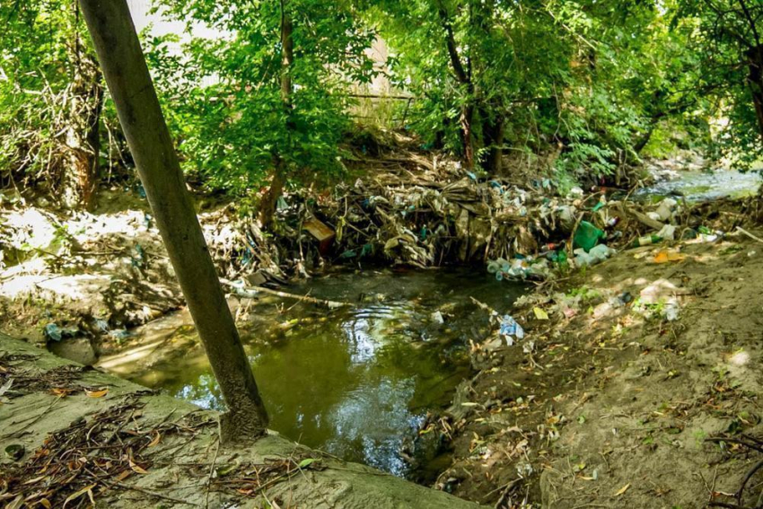 В Ростове очистят ручей Безымянный, протекающий через Зоопарк
