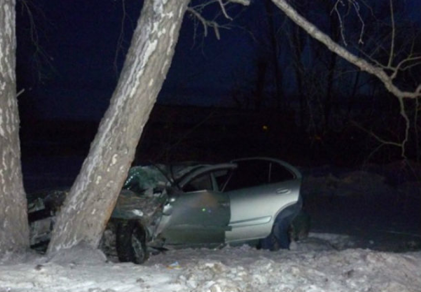 Неуправляемая иномарка под Ростовом врезалась в дерево: пострадали четыре человека