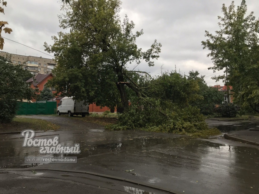 На Сельмаше упавшее дерево перекрыло проезд