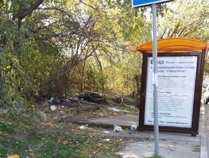 Свалка рядом с ростовской больницей обеспокоила специалистов по охране окружающей среды 