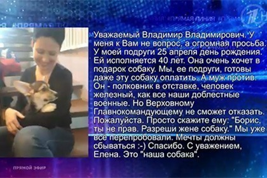 Полковник из Ростова прислушался к Путину и подарил жене собаку 