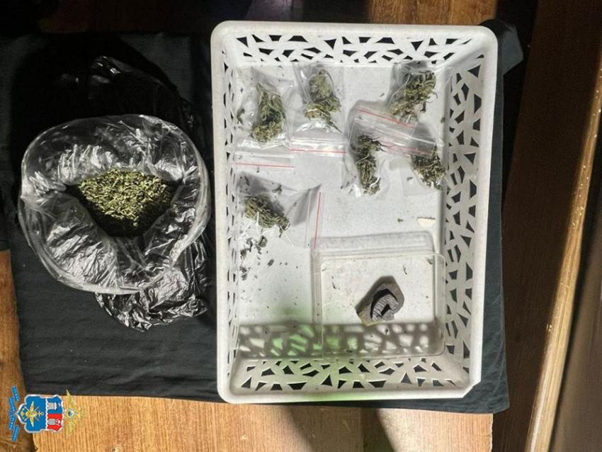 Транспортные полицейские изъяли более 100 граммов наркотиков в Батайске