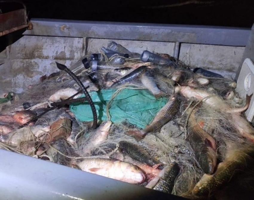 В Ростовской области браконьеры выловили тонну свежей рыбы и получили штраф