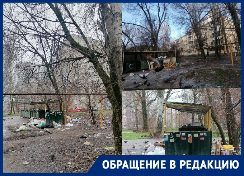 «Просто гора мусора!» жители Ростова жалуются на запущенные дворы на Ленина