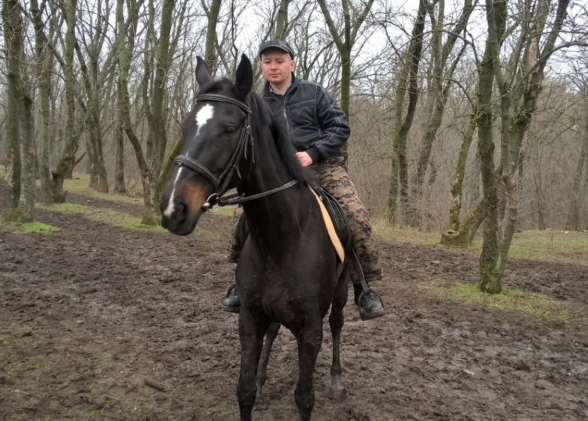 Администрация и гордума Ростова-на-Дону передумали отменять налоговые льготы для конноспортивных объектов