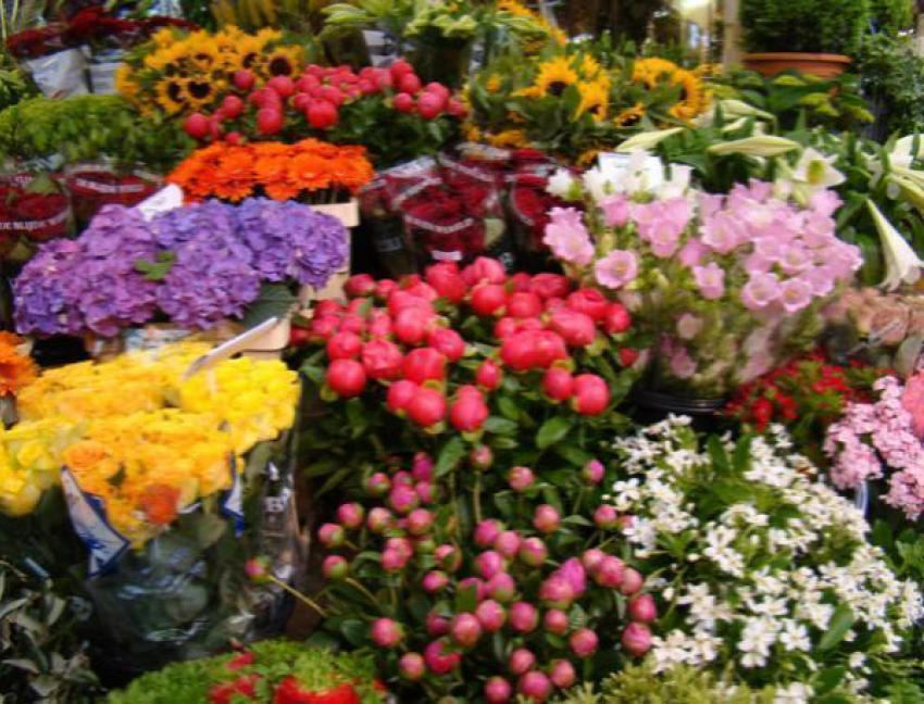 Рейд по цветочным рынкам Ростова провели сотрудники Россельхознадзора 