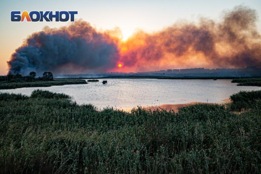Власти Ростовской области оправдали плановые выжигания растительности